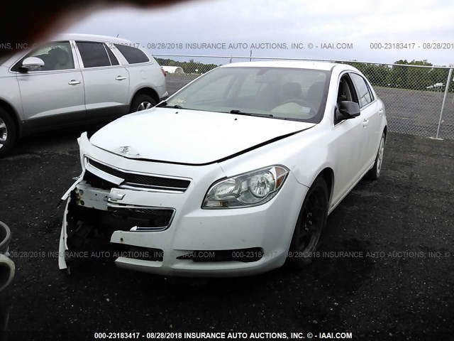 1G1ZA5E07AF106978 - 2010 CHEVROLET MALIBU LS 白色 照片 2