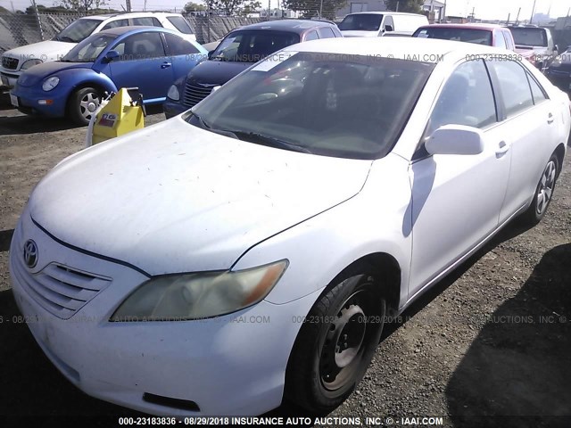 4T1BE46K57U555907 - 2007 TOYOTA CAMRY NEW GENERAT CE/LE/XLE/SE WHITE photo 2