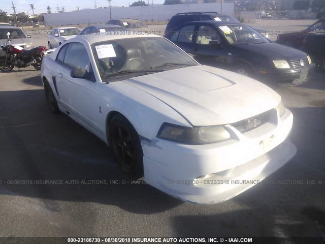 1FAFP47V91F228954 - 2001 FORD MUSTANG COBRA SVT WHITE photo 1