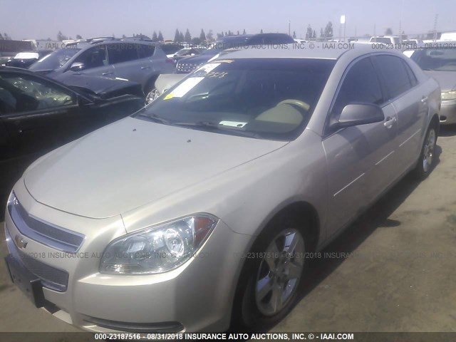 1G1ZA5EU6BF108175 - 2011 CHEVROLET MALIBU LS GOLD photo 2