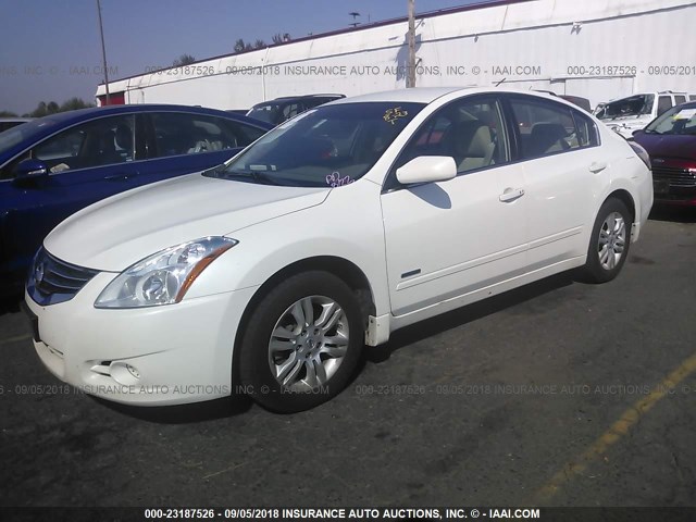 1N4CL2AP7AC185164 - 2010 NISSAN ALTIMA HYBRID WHITE photo 2