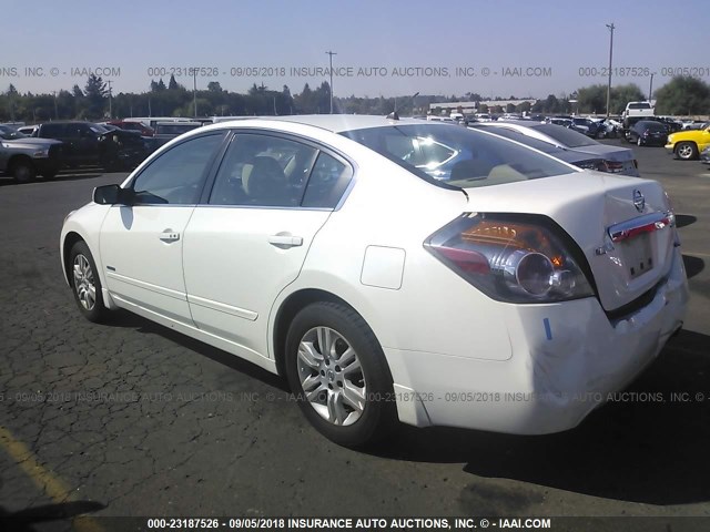 1N4CL2AP7AC185164 - 2010 NISSAN ALTIMA HYBRID WHITE photo 3