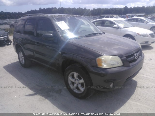 4F2CZ94136KM18110 - 2006 MAZDA TRIBUTE S GRAY photo 1