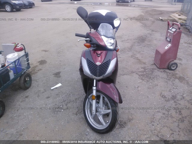 ZDCKF1014AF002881 - 2010 HONDA SH150 D MAROON photo 5