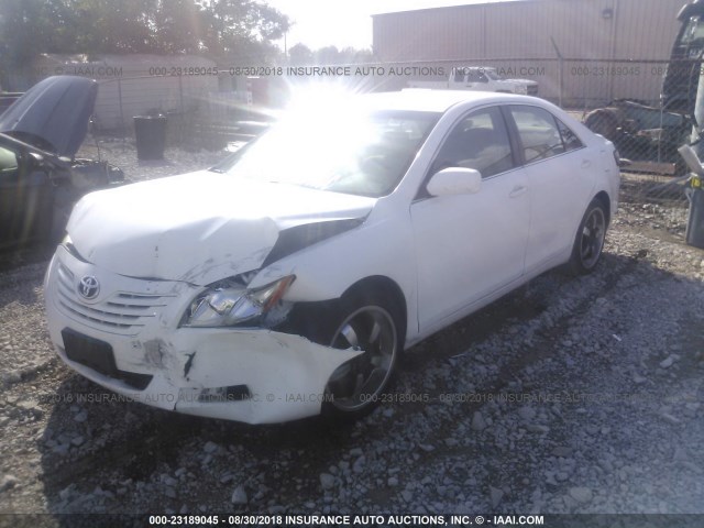 4T1BE46K59U851786 - 2009 TOYOTA CAMRY SE/LE/XLE WHITE photo 2