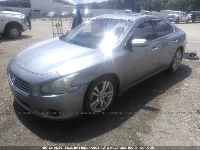 1N4AA51E19C857535 - 2009 NISSAN MAXIMA S/SV GRAY photo 2