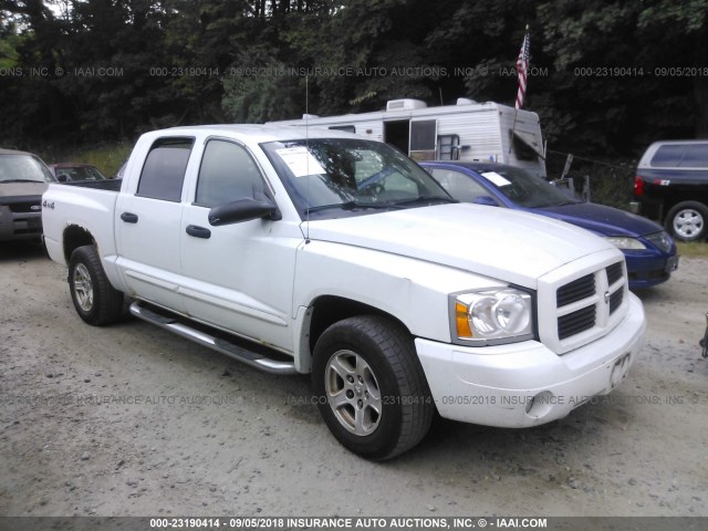 1D7HW48N16S657272 - 2006 DODGE DAKOTA QUAD SLT WHITE photo 1