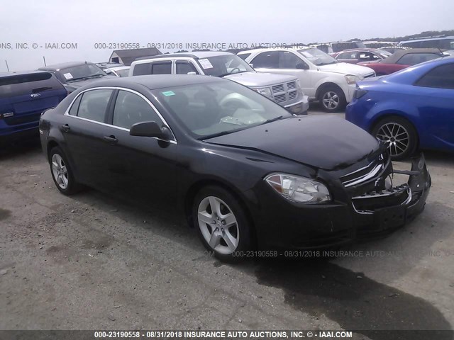 1G1ZB5EB1AF228671 - 2010 CHEVROLET MALIBU LS შავი ფოტო 1
