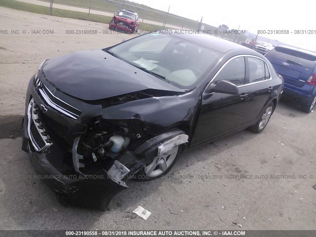 1G1ZB5EB1AF228671 - 2010 CHEVROLET MALIBU LS შავი ფოტო 2