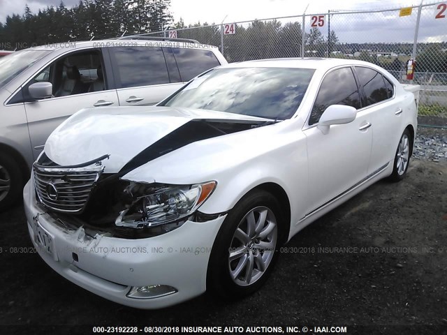 JTHBL46F175038500 - 2007 LEXUS LS 460 WHITE photo 2