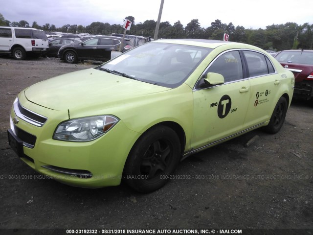 1G1ZH57B09F125443 - 2009 CHEVROLET MALIBU 1LT 绿色 照片 2