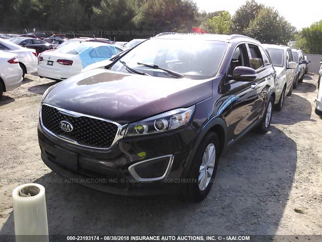 5XYPGDA52HG232861 - 2017 KIA SORENTO LX/L MAROON photo 2