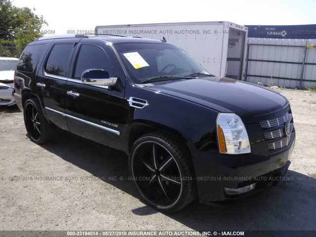 1GYS3BEF9BR263007 - 2011 CADILLAC ESCALADE LUXURY შავი ფოტო 1