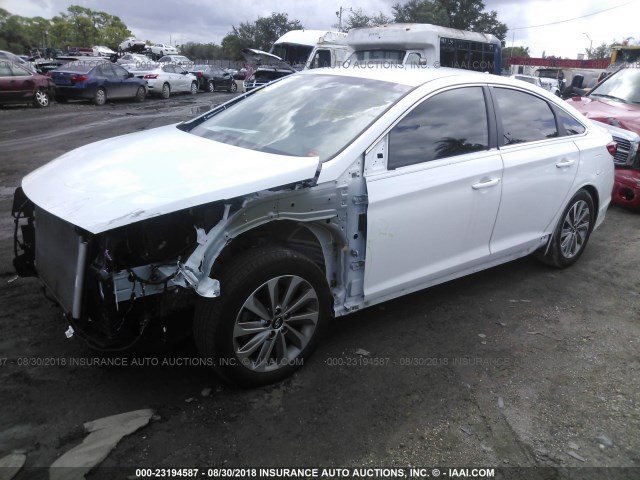 5NPE34AF2GH401389 - 2016 HYUNDAI SONATA SPORT/LIMITED WHITE photo 2