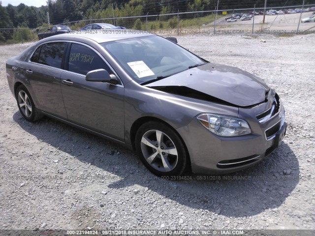 1G1ZC5E19BF310640 - 2011 CHEVROLET MALIBU 1LT ნაცრისფერი ფოტო 1