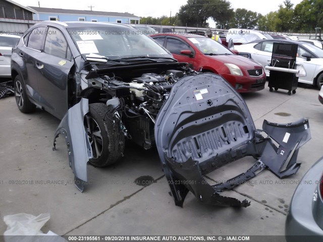 JTJYARBZ6J2086305 - 2018 LEXUS NX 300/BASE/F SPORT 灰色 照片 1