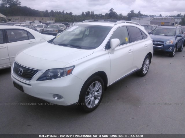 JTJBC1BA7B2037451 - 2011 LEXUS RX 450 WHITE photo 2