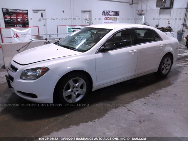 1G1ZA5EU0CF390590 - 2012 CHEVROLET MALIBU LS 白色 照片 2