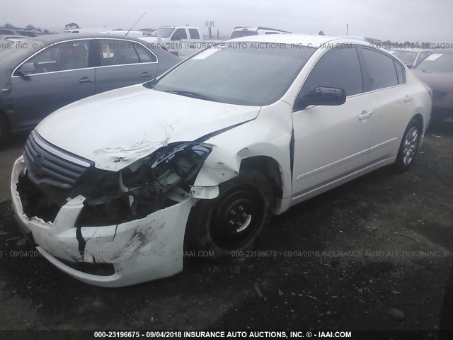 1N4AL21E19C125219 - 2009 NISSAN ALTIMA 2.5/2.5S WHITE photo 2