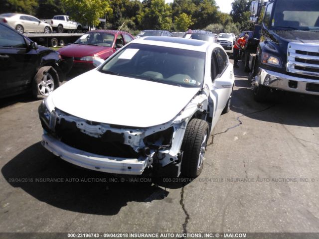 19UUA8F21CA037919 - 2012 ACURA TL WHITE photo 6