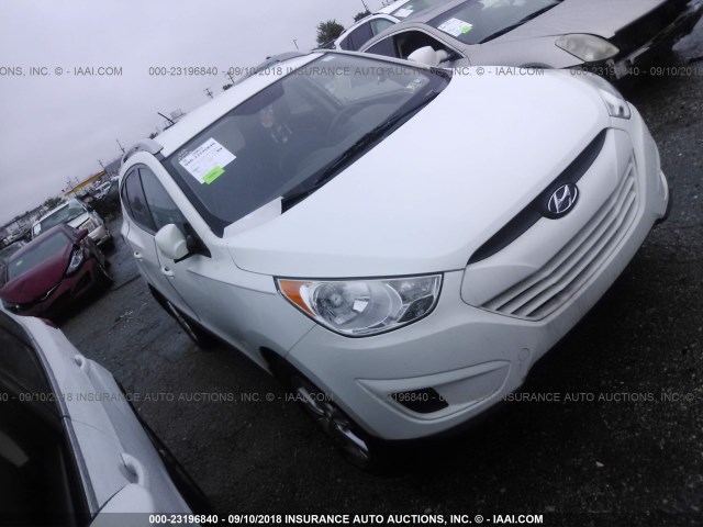 KM8JUCAC3BU135080 - 2011 HYUNDAI TUCSON WHITE photo 1