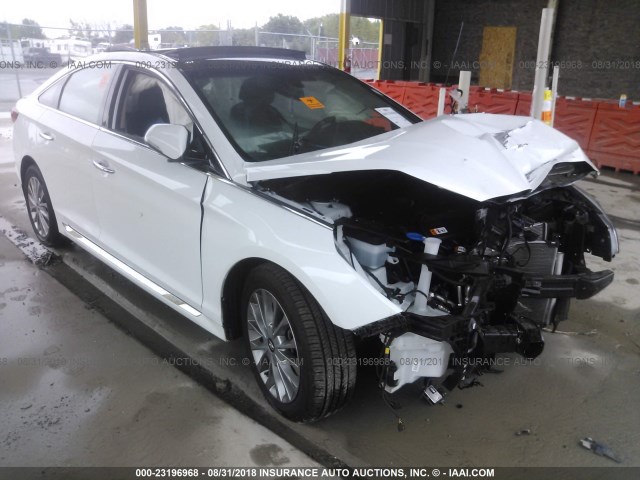 5NPE34AF3FH183543 - 2015 HYUNDAI SONATA SPORT/LIMITED WHITE photo 1