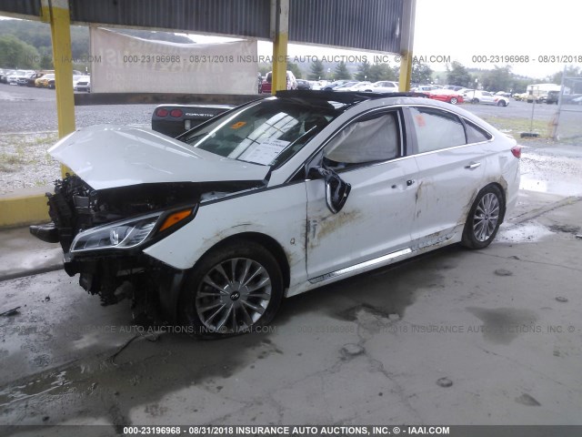 5NPE34AF3FH183543 - 2015 HYUNDAI SONATA SPORT/LIMITED WHITE photo 2