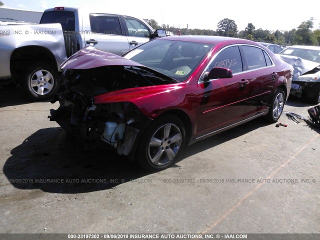 1G1ZC5E13BF294161 - 2011 CHEVROLET MALIBU 1LT წითელი ფოტო 2
