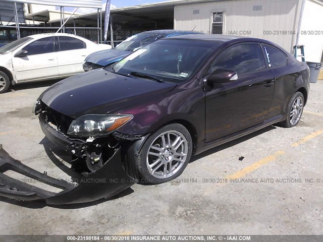 JTKDE3B76A0315751 - 2010 TOYOTA SCION TC 紫色 照片 2