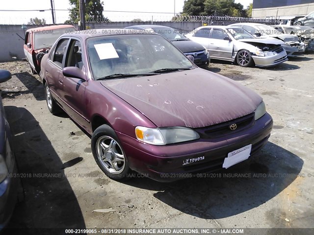 2T1BR18E0WC004343 - 1998 TOYOTA COROLLA VE/CE/LE 勃艮第红 照片 1