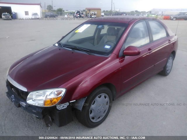 KNAFE121785519470 - 2008 KIA SPECTRA EX/LX/SX MAROON photo 2