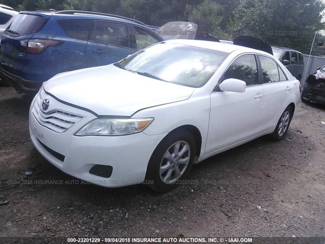 4T4BF3EK7BR117719 - 2011 TOYOTA CAMRY SE/LE/XLE თეთრი ფოტო 2