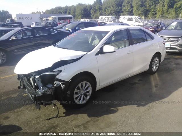 4T4BF1FK9GR524628 - 2016 TOYOTA CAMRY LE/XLE/SE/XSE WHITE photo 2
