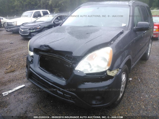 JHLRD78965C050000 - 2005 HONDA CR-V SE/EX BLACK photo 6