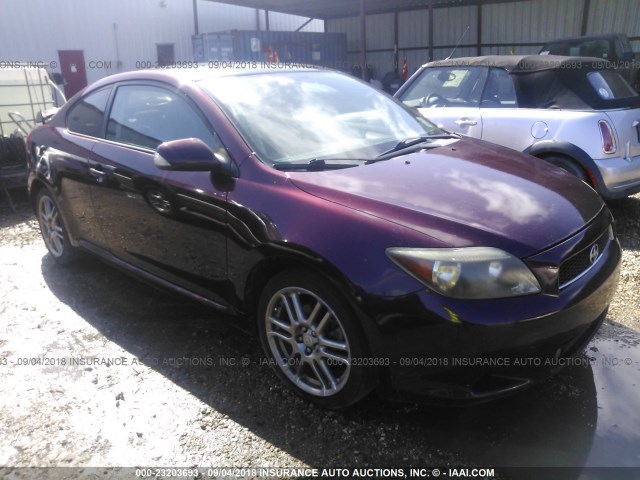 JTKDE177260116586 - 2006 TOYOTA SCION TC PURPLE photo 1