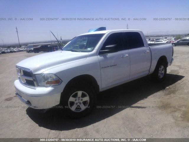 1D7RV1CP6BS687733 - 2011 DODGE RAM 1500 WHITE photo 2