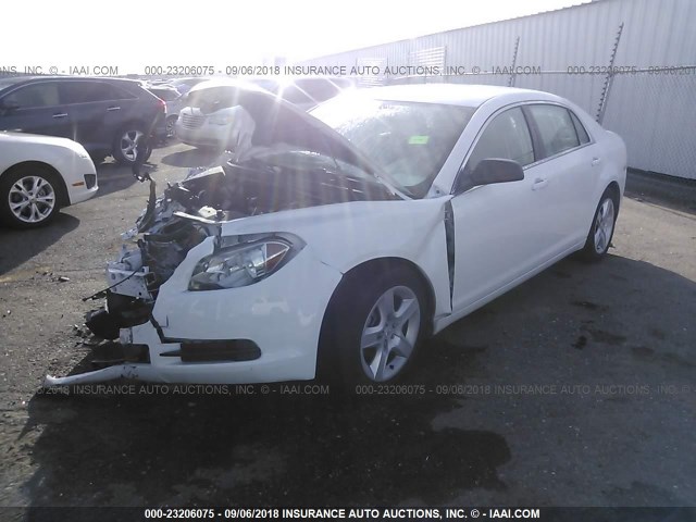 1G1ZA5EU4CF356958 - 2012 CHEVROLET MALIBU LS 白色 照片 2