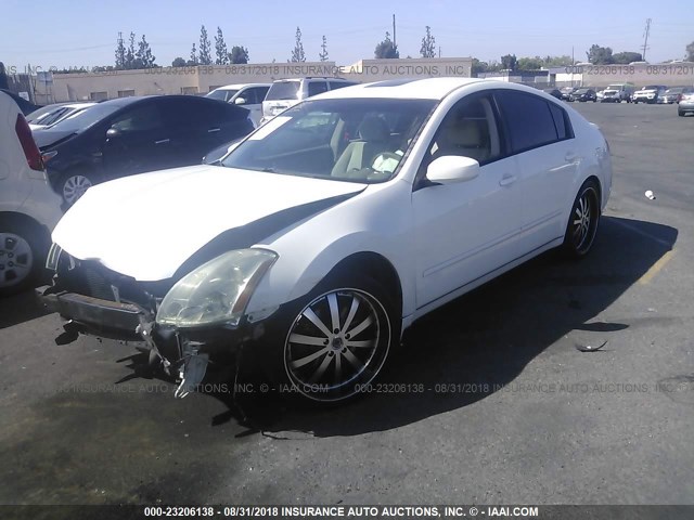 1N4BA41E56C827304 - 2006 NISSAN MAXIMA SE/SL WHITE photo 2