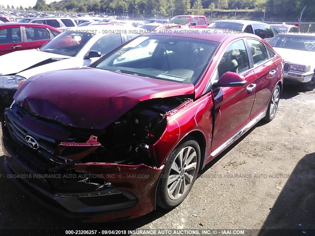 5NPE34AF0GH307897 - 2016 HYUNDAI SONATA SPORT/LIMITED RED photo 2