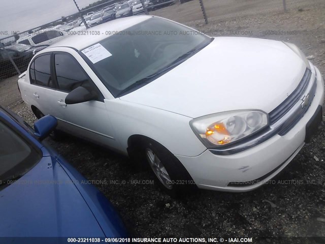 1G1ZT52805F310340 - 2005 CHEVROLET MALIBU LS Ақ фото 1