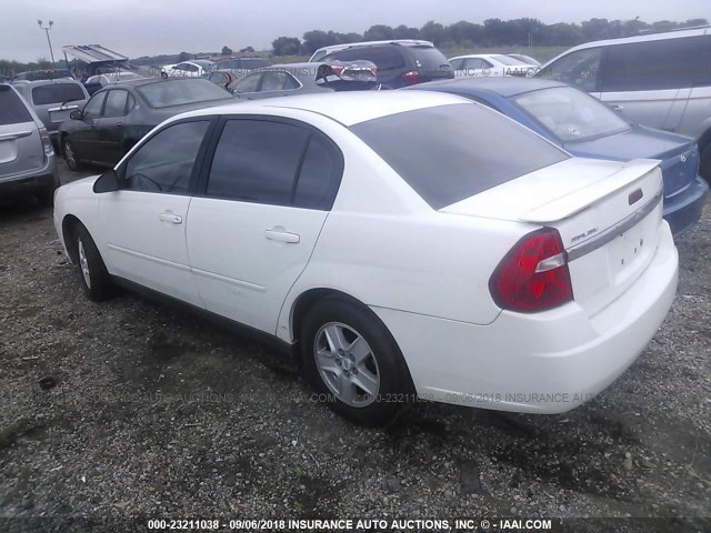 1G1ZT52805F310340 - 2005 CHEVROLET MALIBU LS Ақ фото 3