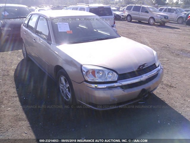 1G1ZT62845F149464 - 2005 CHEVROLET MALIBU MAXX LS GOLD photo 1