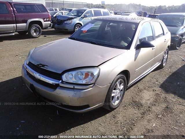 1G1ZT62845F149464 - 2005 CHEVROLET MALIBU MAXX LS GOLD photo 2