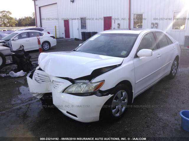 4T4BE46K99R132501 - 2009 TOYOTA CAMRY SE/LE/XLE WHITE photo 2