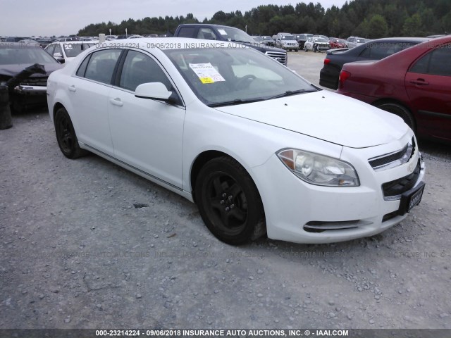 1G1ZC5E02AF257849 - 2010 CHEVROLET MALIBU 1LT თეთრი ფოტო 1