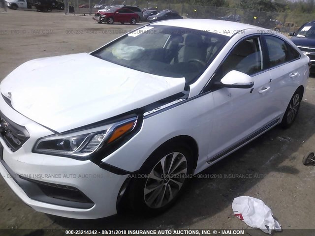 5NPE34AF7FH058657 - 2015 HYUNDAI SONATA SPORT/LIMITED WHITE photo 2