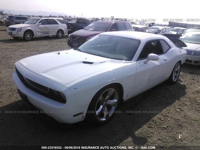 2C3CDYBT8DH557106 - 2013 DODGE CHALLENGER R/T WHITE photo 2