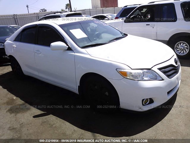 4T4BF3EK3BR110685 - 2011 TOYOTA CAMRY SE/LE/XLE თეთრი ფოტო 1