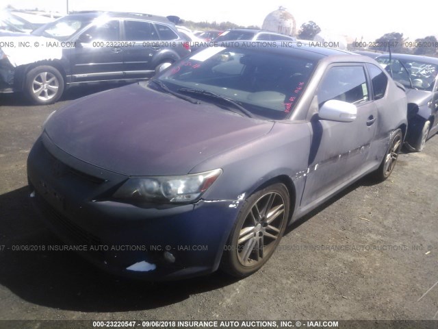 JTKJF5C7XB3008254 - 2011 TOYOTA SCION TC 紫色 照片 2