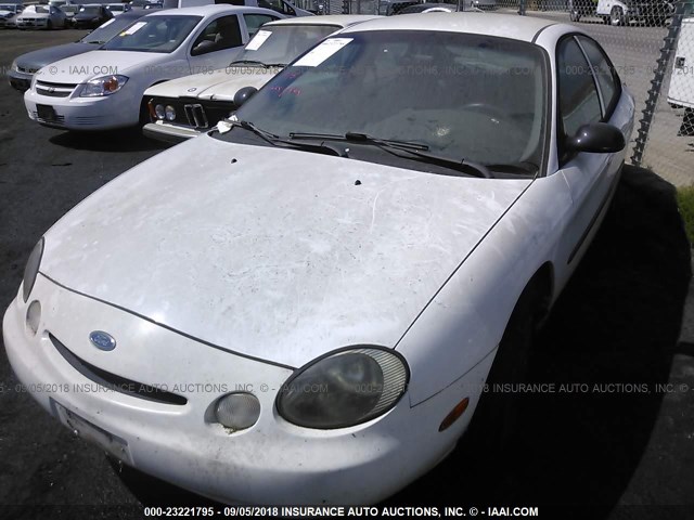 1FALP51U7TG264129 - 1996 FORD TAURUS G WHITE photo 2